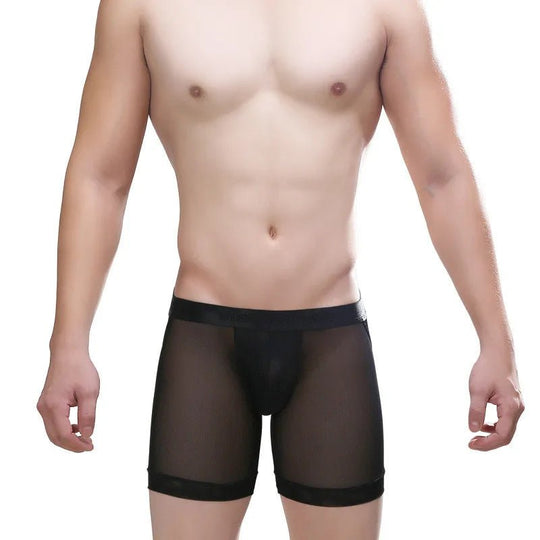 Mesh Mischief Jockstrap Boxer Briefs - Oh My!