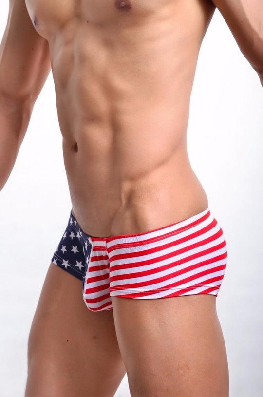 Men's Sexy Underwear - American PRIDE Brief – Oh My!
