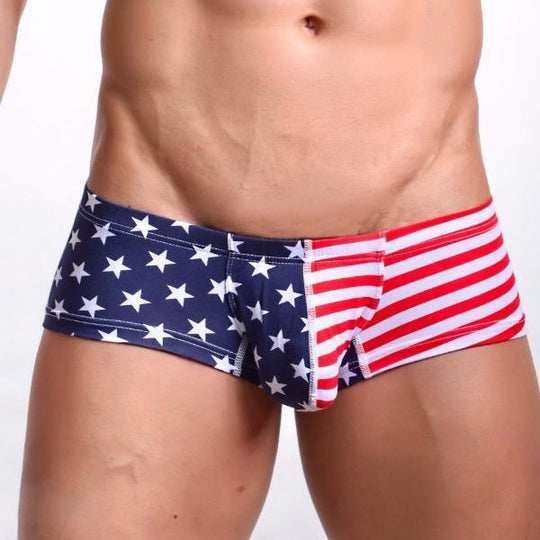 Men's Sexy Underwear - American PRIDE Brief – Oh My!