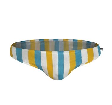 Art Deco Striped Swim Briefs swimwear