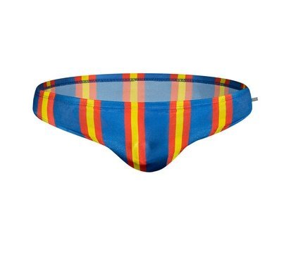 Art Deco Striped Swim Briefs swimwear