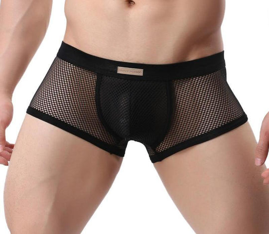 Men's Sexy Underwear - Brave Person Mesh Briefs – Oh My!
