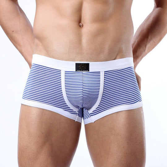 Brave Person Striped Lycra Boxer Briefs - Oh My Underwear