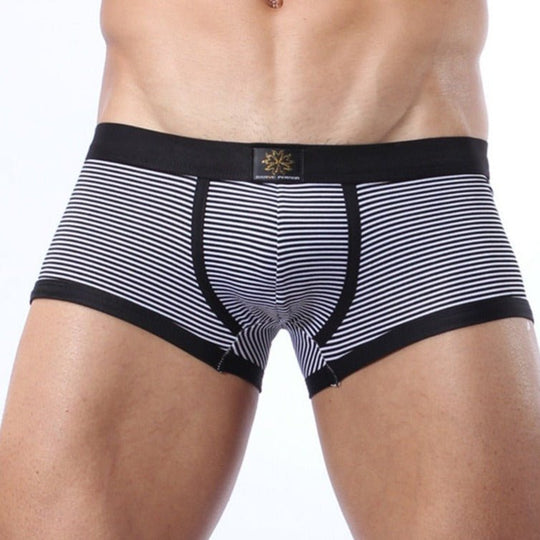 Brave Person Striped Lycra Boxer Briefs - Oh My Underwear