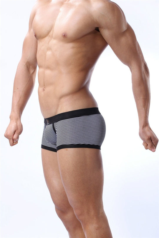 Brave Person Striped Lycra Boxer Briefs - Oh My Underwear