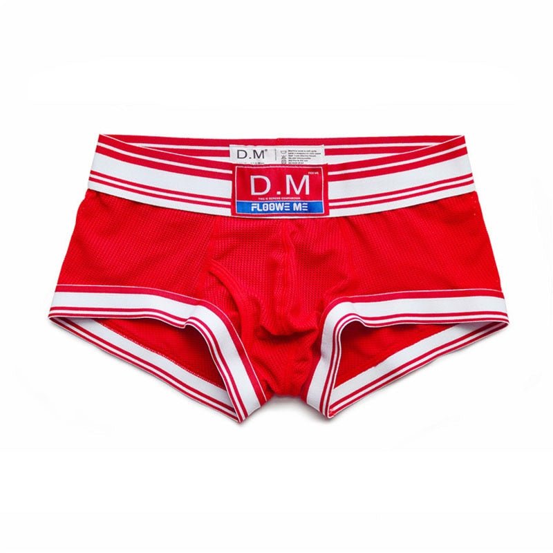 Men’s Sexy Underwear - DM Fighter Mesh Boxer Briefs – Oh My!