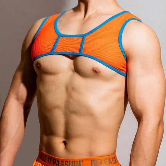 DM Passion Neon Mesh Harness - Oh My Underwear