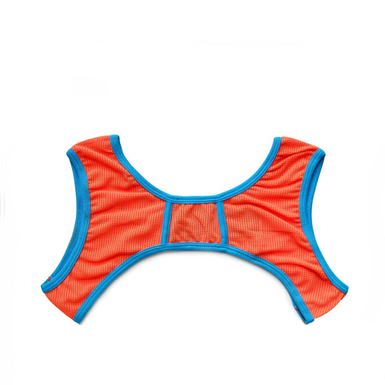 DM Passion Neon Mesh Harness - Oh My Underwear