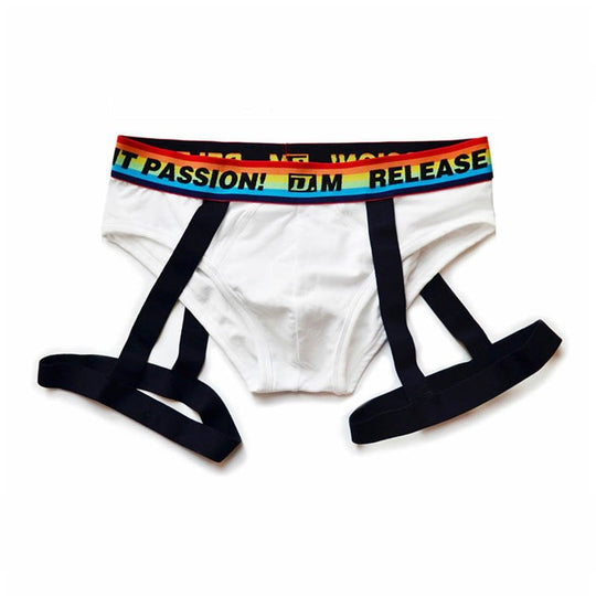 DM Rainbow Passion Garter Briefs - Oh My Underwear