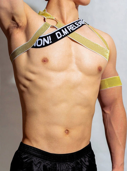 DM Release Shimmer Cross Harness - Oh My Underwear