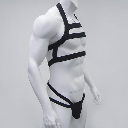 Jockstrap + Triple Harness harness