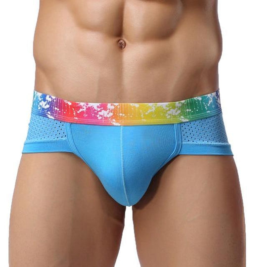 Rainbow Band Mesh Briefs underwear