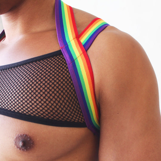 Rainbow Mesh Harness + Briefs - Oh My!