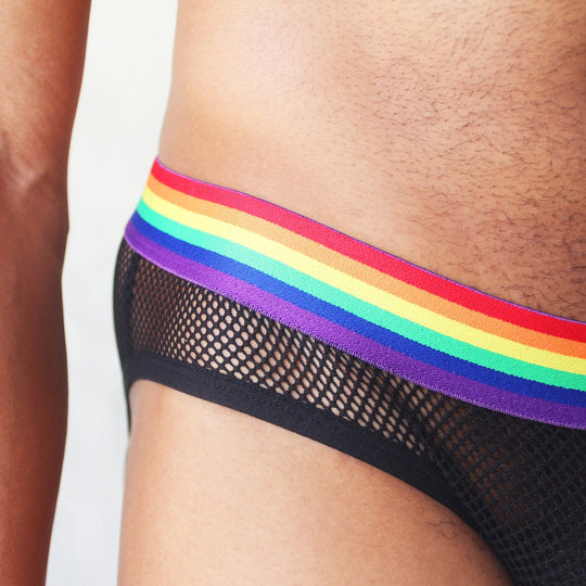 Rainbow Mesh Harness + Briefs - Oh My!