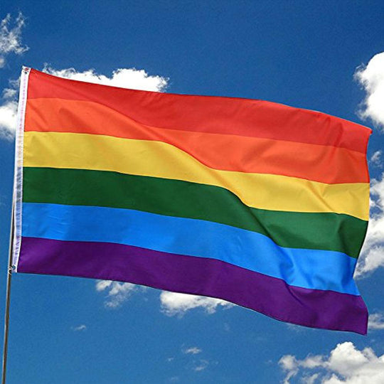 Gay Pride Accessories - Rainbow Pride Flag 3x5 ft – Oh My!
