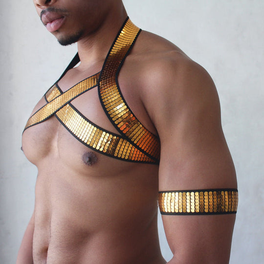 Shiny Gold Harness - Oh My!