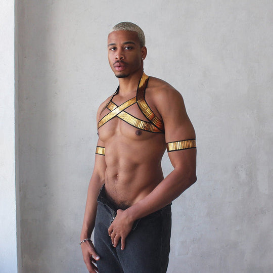 Shiny Gold Harness - Oh My!