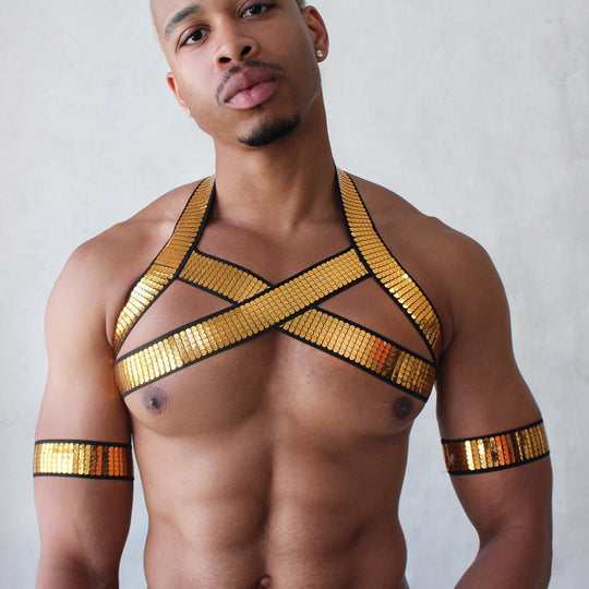 Men s Sexy Underwear Shiny Gold Harness Oh My