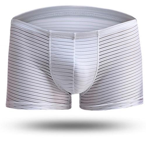 Men’s Sexy Underwear - Silky Sheer Striped Boxers – Oh My!