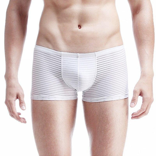 Sheer Men's Underwear