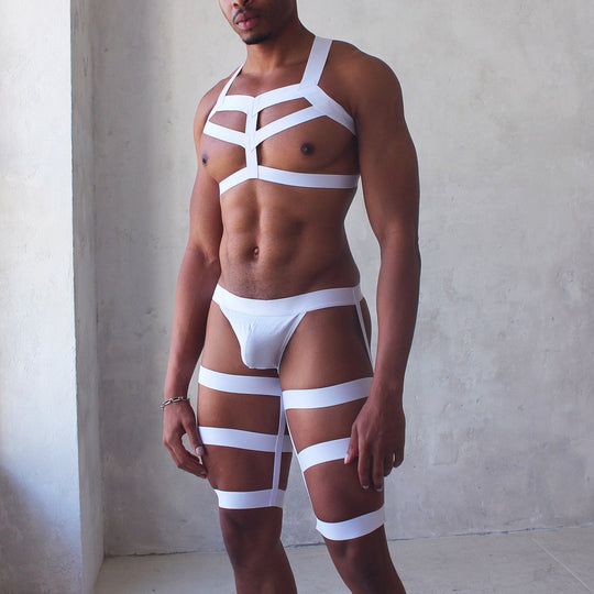 Triple Elastic Harness with Briefs - Oh My!