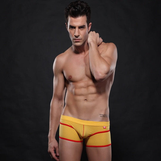 WJ Mesh Boxer Briefs - Oh My Underwear
